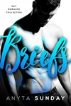 Briefs