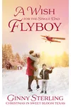 A Wish for the Single Dad Flyboy