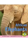 African Elephants