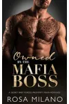 Owned by the Mafia Boss