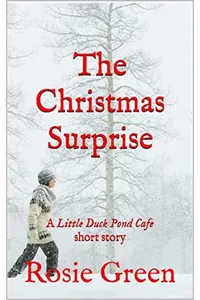 The Christmas Surprise