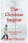 The Christmas Surprise