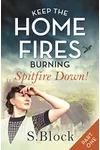 Spitfire Down!