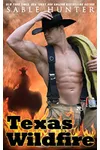 Texas Wildfire