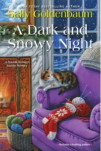 A Dark and Snowy Night