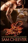 Slow Burner