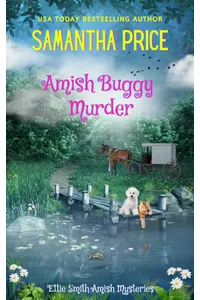 Amish Buggy Murder