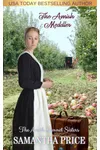 The Amish Meddler