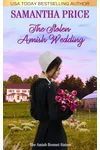 The Stolen Amish Wedding