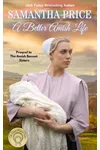 A Better Amish Life