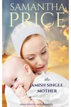 The Amish Single Mother