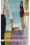 The Amish Visitors