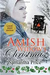 Amish Widow's Christmas