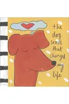 The Dog Sense That Changed My Life