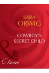 Cowboy's Secret Child