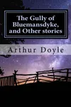 The Gully of Bluemansdyke