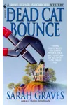The Dead Cat Bounce