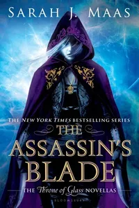 The Assassin and the Healer