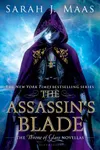 The Assassin and the Healer