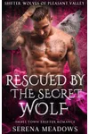 Rescued By The Secret Wolf