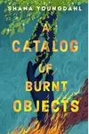 A Catalog of Burnt Objects