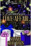 A Snowed In Love Affair