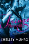Fringe Benefits