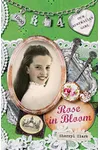 Rose in Bloom
