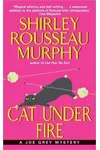 Cat Under Fire