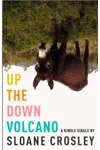 Up the Down Volcano
