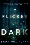 A Flicker in the Dark