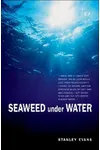 Seaweed Under Water
