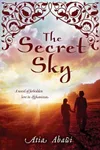The Secret Sky