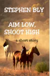 Aim Low, Shoot High