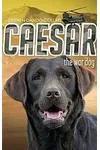 Caesar the War Dog