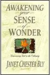 Awakening Your Sense of Wonder: Discovering God in the Ordinary