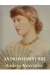 An Inconvenient Wife