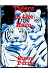 Tigers in the Rain