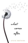 What Comes After