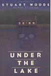 Under the Lake