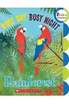 Busy Day, Busy Night: Rain Forest