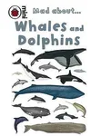 Mad About... Whales and Dolphins