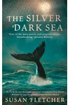 The Silver Dark Sea