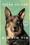 Rin Tin Tin