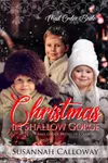 Christmas in Shallow Gorge