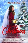 Engaged by Christmas