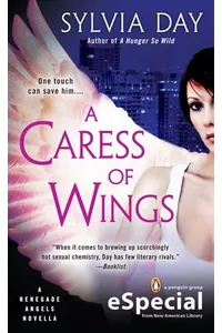 A Caress of Wings