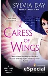 A Caress of Wings
