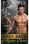 Gray Back Alpha Bear