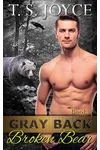 Gray Back Broken Bear